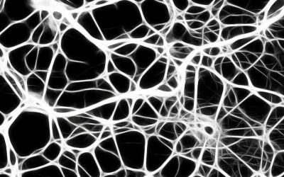 Here’s Who Just Picked Up Loxo Oncology Inc. (NASDAQ:LOXO) Shares