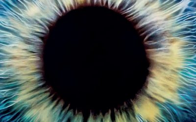 Stonemor Partners Lp. (NYSE:STON) Just Found Some Institutional Interest