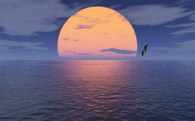 Sunesis Pharmaceuticals Inc. (NASDAQ:SNSS) Is Attracting Smart Money