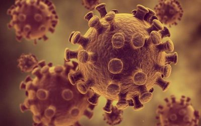 Here Are The Next Major Catalysts To Watch From VBI Vaccines, Inc. – Ordinary Shares (NASDAQ:VBIV)