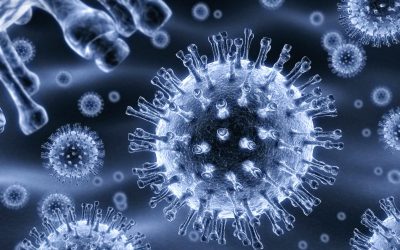 Biotech Is Hot And Oncomed Pharmaceuticals Inc. (NASDAQ:OMED) Is Benefiting