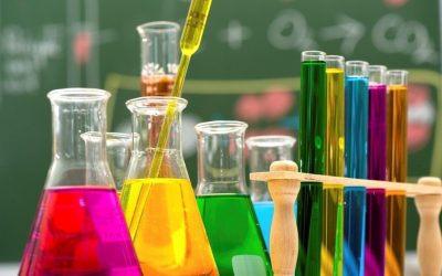 Wcm Investment Management/ca is Buying Transcat Inc. (NASDAQ:TRNS) Shares