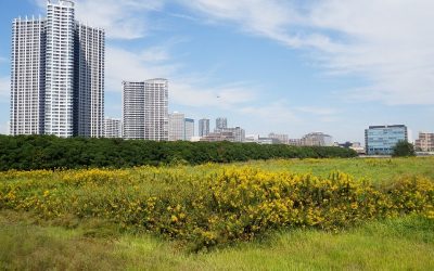 Here’s Who Just Picked Up Silver Bay Realty Trust Corp. (NYSE:SBY) Shares