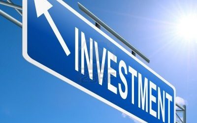 Here’s Who Just Picked Up Taiwan Fund Inc. (NYSE:TWN) Shares