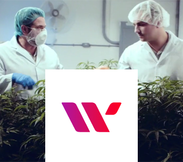 Cannabis Wheaton