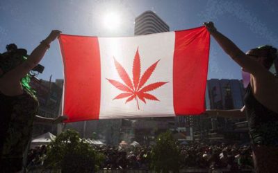 5 Days & Counting – Final Preparations Made Before Cannabis Goes Legal In Canada