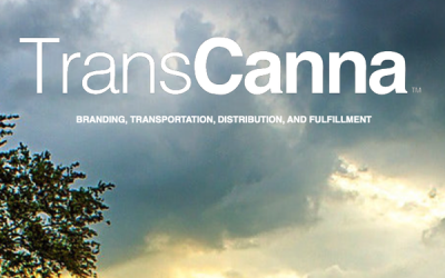 Transcanna Holdings (TCAN:CNX) Stock Jumps 675% This year, What’s The Buzz?