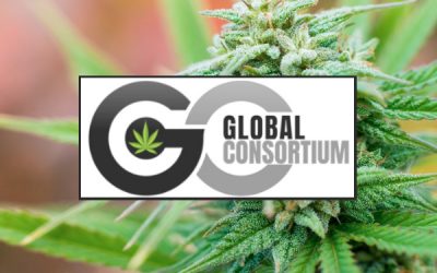 Global Consortium Inc. (OTCMKTS:GCGX) Negotiates A revised 5-year lease of Sacramento Building with Option to Buy