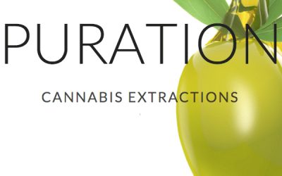Puration Inc (PURA) Stock Soars 17% After CBD Beverage Survey