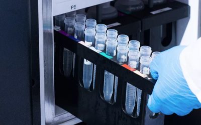 Illumina (NASDAQ:ILMN): How Should You Trade After The Recent Correction?