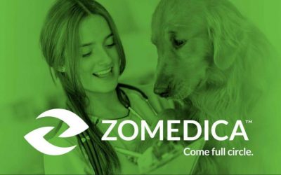 Zomedica Corp (ZOM)  Stock Continues to Underperform: Here is Why