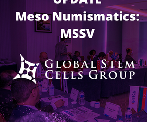Meso Numismatics (MSSV) skyrocketing