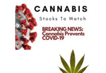 Cannibis Stocks to Watch V2