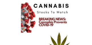 Cannibis Stocks to Watch V2