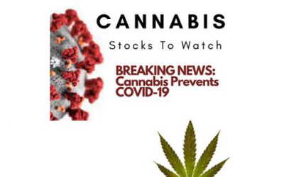 Cannabis Prevented Covid: What Stocks to Follow