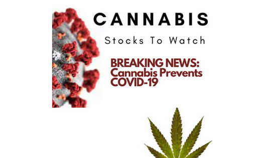 Cannibis Stocks to Watch V2