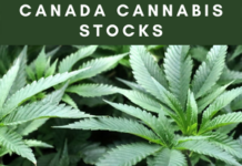 Canada Cannabis Stocks