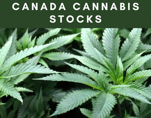 Canada Cannabis Stocks