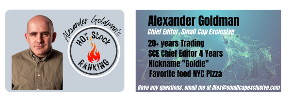 stock trader alexander goldman