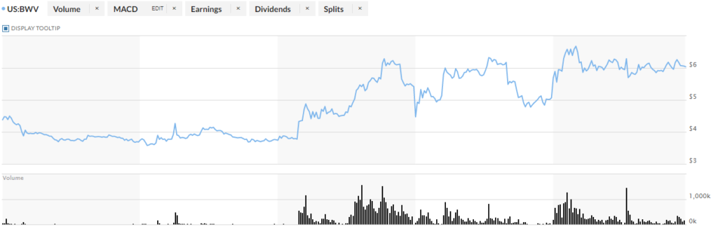 BWV stock price