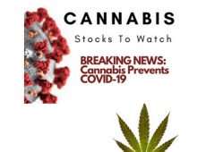 Cannibis Stocks to Watch V2
