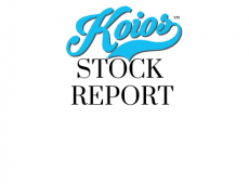 Stock Report (21)