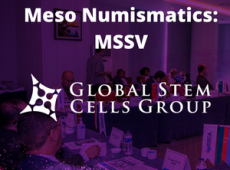 UPDATE Meso Numismatics MSSV