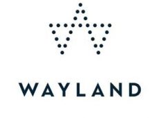 Wayland Group - WAYL
