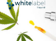 White Label Liquid Inc (OTCMKTS:WLAB)