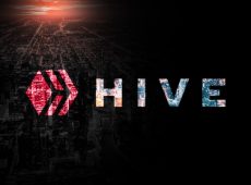 hive